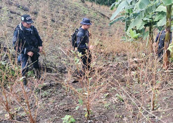 Honduras_b9bSjKv droga