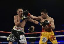 Chocolatito: «A Rungvisai no le vi nada, ganó el gallo»