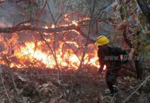 Incendio en edificio cerca a sede de feria agropecuaria de Colombia (VIDEO)