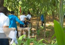 Contacto con la naturaleza y plantas para estudiantes de Managua nicaragua, managua, inafor, mined, capacitacion educativa,