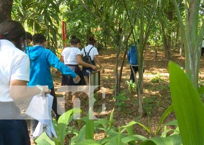 nicaragua, managua, inafor, mined, capacitacion educativa,