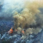 incendios forestales