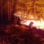 La NASA obtiene espectaculares imágenes del incendio en Gran Canaria gran canaria