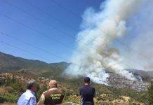 Medio centenar de desalojos por un incendio en Estepona, España espana