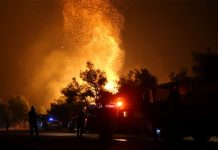 Detenido un sospechoso de provocar el incendio forestal en Eubea, Grecia incendio forestal