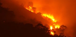 incendio forestal