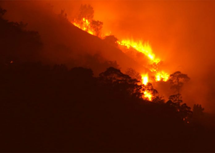 Incendio_Honduras_cD4NdbW incendio forestal