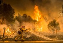Incendios en California dejan 8 muertos y arrasan 93.000 hectáreas california