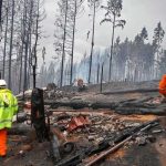 Declaran Estado de Desastre por incendio forestal en región patagónica argentina