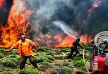 Grecia encuentra indicios de actos criminales en trágicos incendios atica