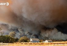 Sube a 228 la cifra de desaparecidos por incendio en el norte de California estados unidos