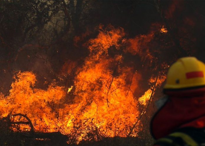 Incendios-forestales-Bolivia_JSRO8Eg incendios en bolivia