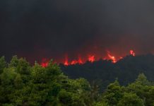 Incendios arrasan con todo a su paso en Grecia grecia