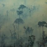 incendios forestales