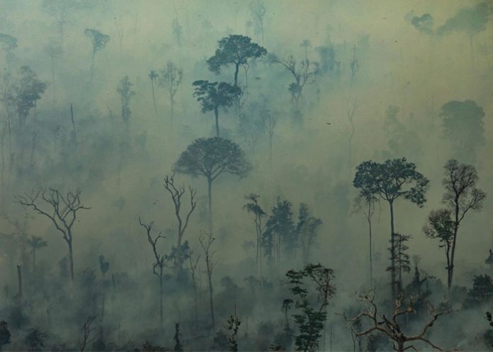 incendios forestales