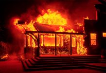 Declaran estado de emergencia por incendios forestales en California estados unidos