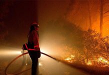 Incendios forestales en Oklahoma cobran dos víctimas mortales bosques quemados