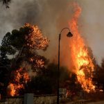 incendios forestales