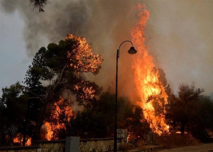 Incendios_forestales_Libano incendios forestales
