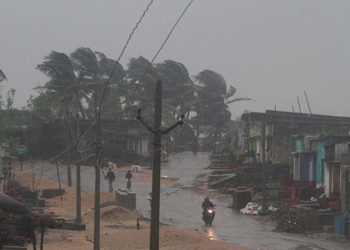 India_jiPtEx1 muertos