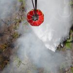 Fuego «no avanza» en Indio Maíz gobierno de nicaragua