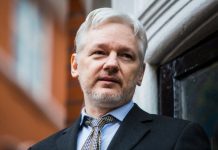 Julian Assange demanda al gobierno de Ecuador por sus «derechos fundamentales» wikileaks