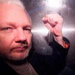 Defensa de Julian Assange solicitará su excarcelación bajo fianza wikileaks