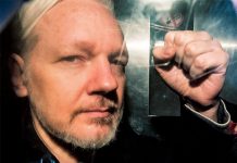 julian assange