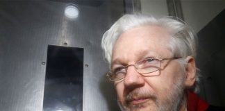 julian assange