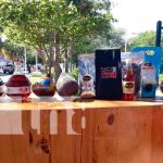 MINJUVE realiza lanzamiento «Cambiando Nicaragua de innovación y creatividad» nicaragua