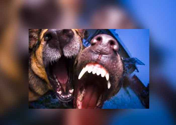 KAREN4_SW01g2g estados unidos