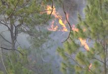Autoridades sofocan incendio en el Cerro de La Cruz, Dipilto nicaragua