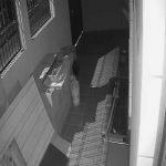 Afganistán: Talibanes mutilan en público a presunto ladrón nicaragua