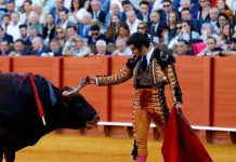 Polémica: Le limpia las lágrimas a un toro antes de matarlo
