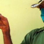 Pollito nace con cuatro patas en una comunidad de Cuba cuba