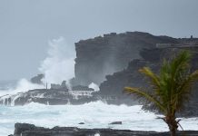 Tormenta Lane cobra la primera víctima mortal en Hawái muertos