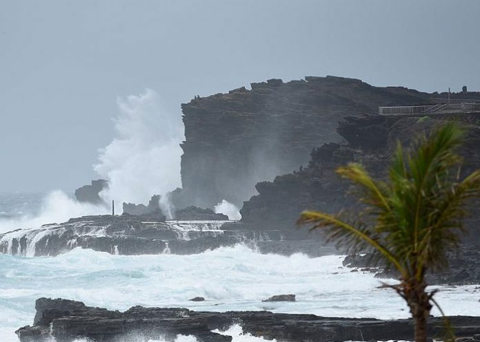 Lane_j9l8fWF muertos