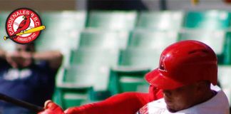 cardenales