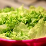 lechuga romana