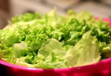 EE.UU.: Se registra primer muerte por brote de «E. coli» en lechugas lechuga romana