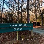 Mujer muere tras ataque de león en Carolina del Norte estados unidos