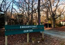 Mujer muere tras ataque de león en Carolina del Norte estados unidos