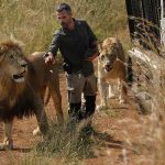 Leona mata a mujer en reserva de Sudáfrica policia