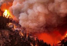 «Tsunami» de fuego arrasa el sur de Colorado fuego