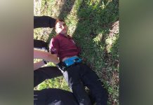 tiroteo en escuela