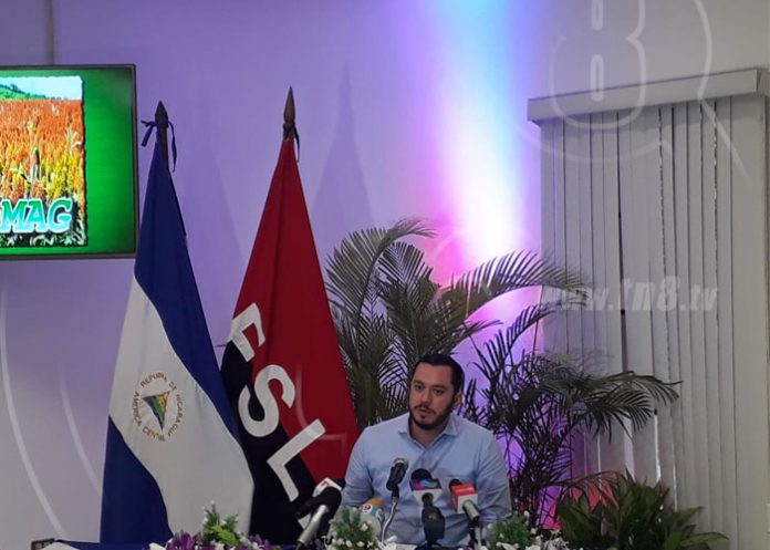 ministerio agropecuario