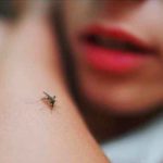 ¿Por qué los mosquitos nos eligieron cómo víctimas hace miles de años? ciencia