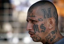 Trump señala la «amenaza» de la MS-13 en pleno debate migratorio