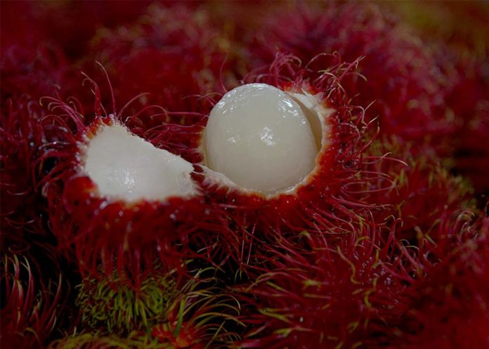 Mamon_chino nino ahogado