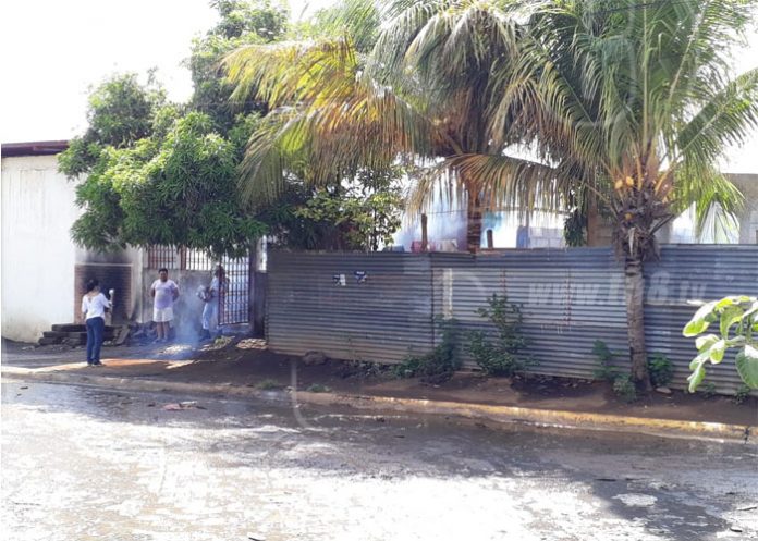 eliminacion de criaderos